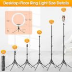12 Zoll Ringlicht mit Stativ Handy, Tisch LED Ring Light/Kamera Handystativhalter mit Ringleuchte