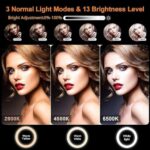12 Zoll Ringlicht mit Stativ Handy, Tisch LED Ring Light/Kamera Handystativhalter mit Ringleuchte