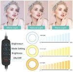 10″ LED Ringlicht mit Stativ für Handy – USB-betrieben, 3 Lichtmodi, 11 Helligkeitsstufen. Ideal für Makeup, Live-Streaming, Selfies, Video-Chats, Vlogs
