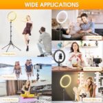 12 Zoll Ringlicht mit Stativ Handy, Tisch LED Ring Light/Kamera Handystativhalter mit Ringleuchte
