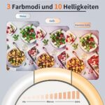 Multifunktionales LUXSURE 10" Ringlicht mit Stativ und Flexibles Handy-Stativ