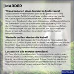 PATTLER® Auto Marderschreck mit 12V Anschluss & Ultraschall - Effektiver Marderschutz