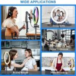 MICCYE Ringlicht mit Stativ 10 Zoll RGB Ring Light Gesamthöhe 180cm Ringleuchte Selfie Ringlicht Handy für Video Makeup Fotografie