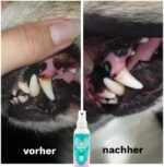 TIERLIEBHABER – 100% natürliches Dentalspray für Hunde & Katzen – entfernt Zahnbelag & sorgt für frischen Atem – Zahnpflege ohne Bürste (150 ml)
