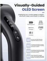 Bob und Brad D6 Pro Massagepistole