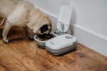 Cat Mate C200 - Futterautomat für 2 Mahlzeiten mit Timer und Eisbeutel
