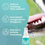 TIERLIEBHABER – 100% natürliches Dentalspray für Hunde & Katzen – entfernt Zahnbelag & sorgt für frischen Atem – Zahnpflege ohne Bürste (150 ml)