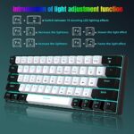 Snpurdiri 60% Mechanische Gaming-Tastatur – 61 Tasten, Anti-Ghosting, Blaue LED-Beleuchtung, Kompakt