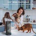 DR.PREPARE Tischventilator Klein 30cm mit 3 Stufen, 110° Oszillation, 3 Timer – Tragbar & Wiederaufladbar