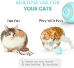 IOKHEIRA LED Katzenball – Interaktives, wiederaufladbares 360-Grad-Spielzeug