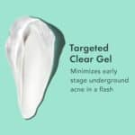 Rael Koreanisches Anti-Unreinheiten Gel – Bernsteinsäure, Cica & Teebaum für fettige Haut