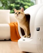 PETKIT Pura Max Selbstreinigende Katzenklobehälter