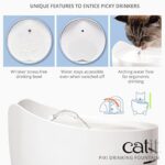 Catit Pixi Trinkbrunnen für Katzen, 2,5L