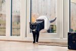 Sure Petcare SureFlap Mikrochip-Katzenklappe Connect mit Sure Petcare Hub
