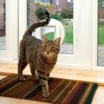 Sure Petcare SureFlap Mikrochip-Katzenklappe – Batteriebetrieben, für Türen & Wände, kompatibel mit RFID-Halsbändern und Mikrochips – Bild 3