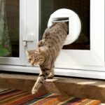 Sure Petcare SureFlap Mikrochip-Katzenklappe – Batteriebetrieben, für Türen & Wände, kompatibel mit RFID-Halsbändern und Mikrochips – Bild 2