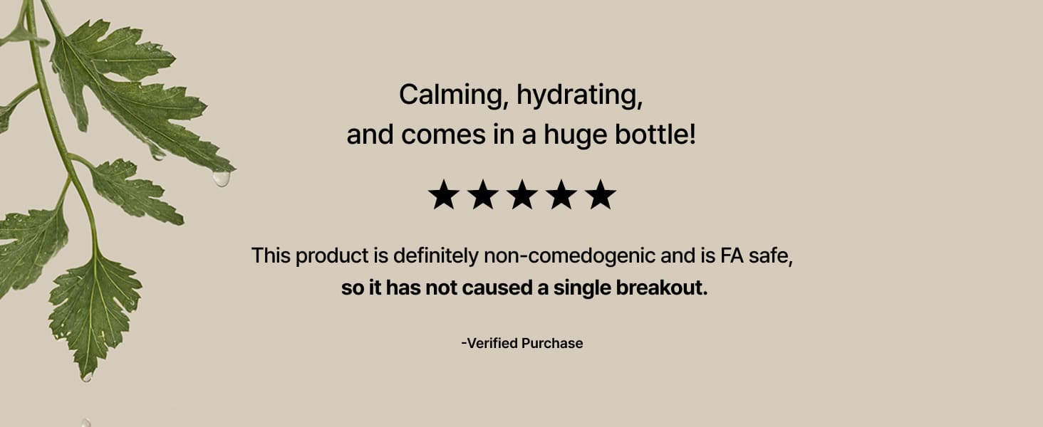 [I'm From] Mugwort Essence – 100% Vegan, Beruhigend & Feuchtigkeitsspendend, Koreanischer Toner für Empfindliche Haut