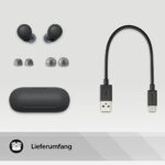 Sony WF-C700N Bluetooth Kopfhörer – Noise Cancelling, leicht & kompakt, 20h Akku, IPX4