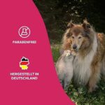 Petsly® Flohspray 500ml – Flohschutz für Katzen, Hunde & Textilien – Nicht färbend, Langzeitschutz mit Citronella & Geraniol