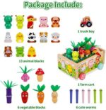 Montessori Spielzeug ab 1 Jahr – Holz Karotten Steckspiel für Mädchen & Jungen | Motorikspielzeug & Geschenk