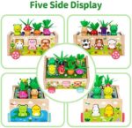 Montessori Spielzeug ab 1 Jahr – Holz Karotten Steckspiel für Mädchen & Jungen | Motorikspielzeug & Geschenk