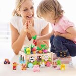Montessori Spielzeug ab 1 Jahr – Holz Karotten Steckspiel für Mädchen & Jungen | Motorikspielzeug & Geschenk