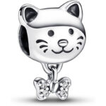 Katzen-Charm