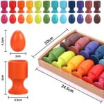 Montessori Holzspielzeug für 1-3 Jahre | 12 Holzeier mit Eierbechern | Motorik- und Sortierspiel für Kinder | Lernspielzeug für Ostern & Geschenke