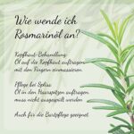 Casida Rosmarinöl für Haar & Kopfhaut – Haaröl gegen Haarausfall mit Rizinusöl