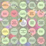 BIO Saatgut Adventskalender – 24 historische Gemüse- & Kräutersorten