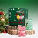 Garnier Adventskalender 2024 – Tuchmasken Set mit 12/24 Sheet-Masks für Gesichtspflege