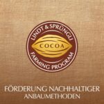 Lindt 1001 Weihnachts-Traum Adventskalender 2024