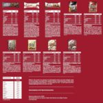 IronMaxx Protein Adventskalender 2024 - 24 Fitness-Snacks