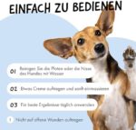 Belly Pfotenbalsam – Heilung & Pflege für trockene Hundepfoten, 50 ml