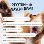 Belly Pfotenbalsam – Heilung & Pflege für trockene Hundepfoten, 50 ml