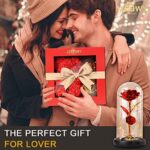 JZEEIWY Ewige Rose Geschenkbox – Rosenbär für Frauen, Mütter & Freundinnen – Perfekt für Geburtstag & Valentinstag