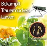 Substral Trauermückenfrei – Starke Pflanzen & effektiver Schutz
