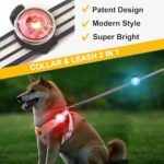 Tubasion LED Hundelicht – Aufladbar, 8 Modi, Wasserdicht & Sicher