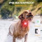 Tubasion LED Hundelicht – Aufladbar, 8 Modi, Wasserdicht & Sicher