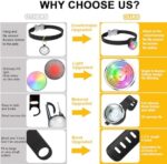Tubasion LED Hundelicht – Aufladbar, 8 Modi, Wasserdicht & Sicher