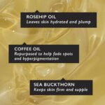 UpCircle Bio-Gesichtsserum mit Kaffee-Öl & Vitamin C