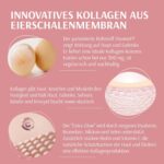 XbyX Kollagen Kick – Vegetarisches Premium Kollagen Pulver für Haut, Haare, Knochen & Gelenke