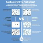 Frischkäse Schuhpuder – 6 Monate Schutz vor Fußgeruch, nachhaltig & effektiv