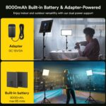 RALENO LED Videoleuchte 2er-Set, 384 LEDs, 8000mAh Akku, 180cm Stativ, Dimmbar 3200-5600K, CRI95 für YouTube & TikTok