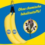 Boot Bananas Schuhdeo – Antibakteriell & Geruchsneutralisierend mit Ätherischen Ölen, 100% Natürliche Materialien