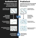 1 Jahr Frische im Schuh – Schwarze Magie gegen Fußgeruch, 12 Monate Schutz ohne Spray