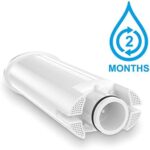 Wasser-Duschfilterkartusche – Kompatibel mit Philips AWP1775WH / AWP1775CH, 2er-Pack