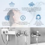 Wasser-Duschfilterkartusche – Kompatibel mit Philips AWP1775WH / AWP1775CH, 2er-Pack