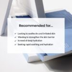 BIODANCE Hydro Cera-nol Deep Maske – Beruhigend & Feuchtigkeitsspendend | 4x34g Overnight Hydrogel