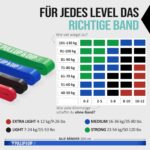 PULLUP & DIP Widerstandsbänder – mit Tasche, Türanker & Übungsguide – einzeln oder im Set